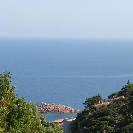 Sardinia Sea Vacation Villa Costa Paradiso Værelse billede